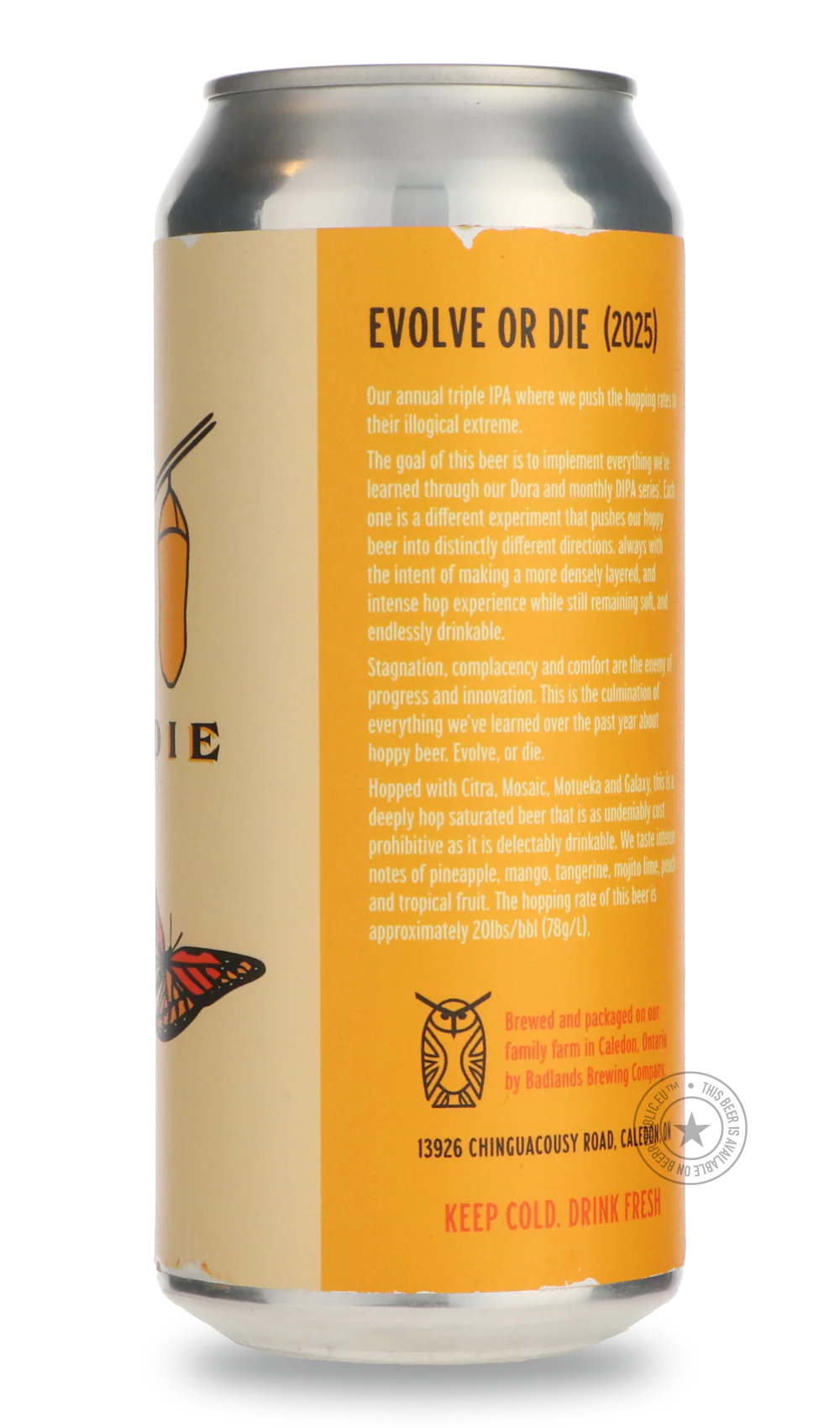 Evolve Or Die - Image 3