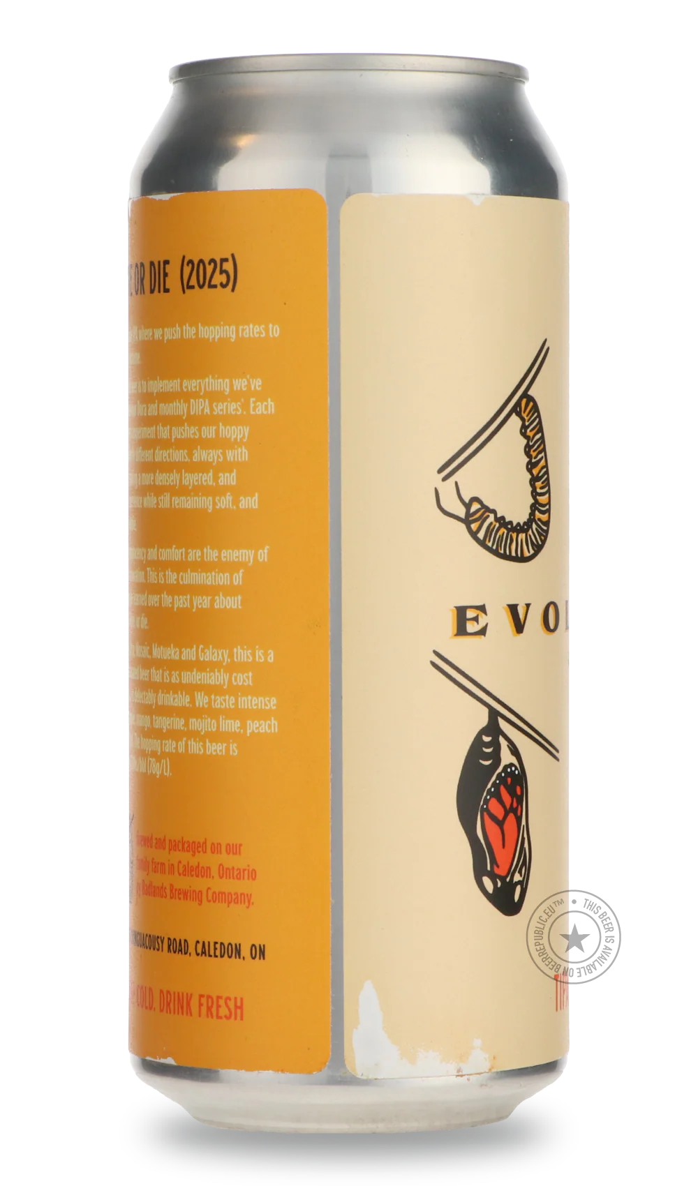 Evolve Or Die - Image 4
