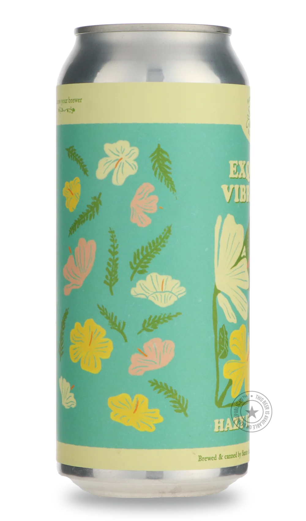 Exquisite Vibrations - Image 4