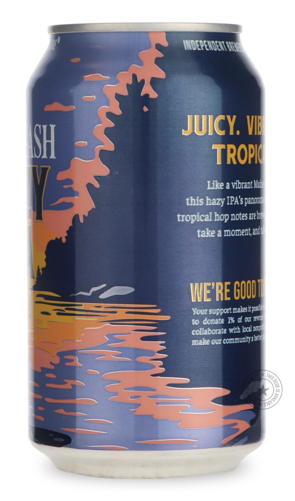 Hazy IPA - Image 2
